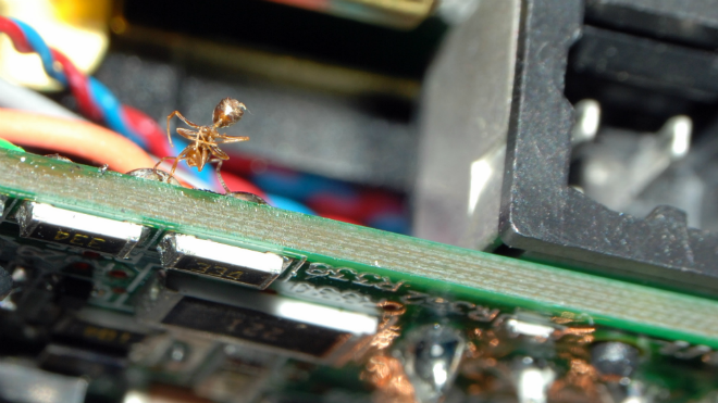 Post image for Fire Ants & Electric Fields