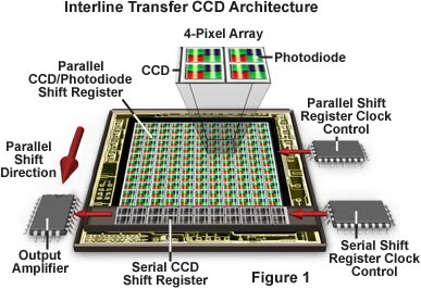 Sensor Architecture