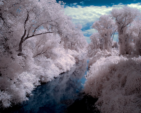 infrared photography